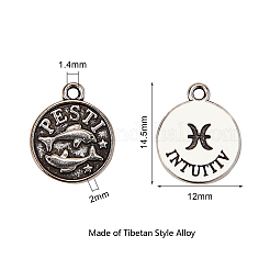 Tibetan Style Alloy Charms&nbsp;TIBE-CJ0001-05