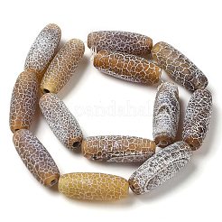 Natural Weathered Agate Beads Strands&nbsp;G-Q169-D04-01A