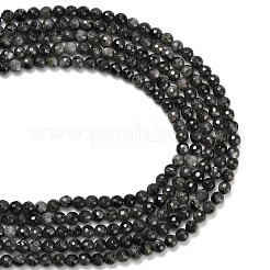 Natural Larvikite Beads Strands&nbsp;G-C280-B06-6mm