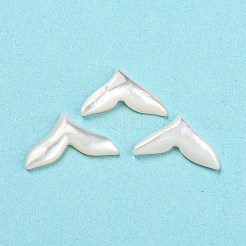 Natural Sea Shell Cabochons&nbsp;SHEL-D079-26