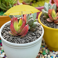 10Pcs 10 Colors Mini Polyester Doll Umbrella&nbsp;AJEW-GO0001-93