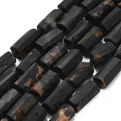 Natural Black Tourmaline Beads Strands&nbsp;G-F716-01-B02