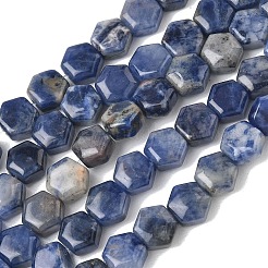 Natural Sodalite Beads Strands&nbsp;G-G463-A10-8x9mm
