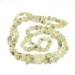 Prehnite Chip Bead Strands&nbsp;X-G-M205-11