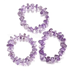 Natural Amethyst Chips Stretch Bracelets&nbsp;BJEW-Z100-01