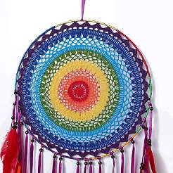 Native Style Iron Ring Woven Net/Web with Feather Wall Hanging Decoration&nbsp;HJEW-A001-09