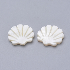 Natural Freshwater Shell Beads&nbsp;SHEL-T007-05