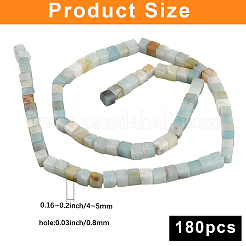 2 Strands Natural Flower Amazonite Beads Strands&nbsp;G-PA0001-80