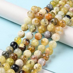 Natural Yellow Opal Beads Strands&nbsp;G-Q1001-A02-02