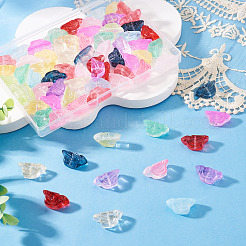 72Pcs 12 Colors Transparent Glass Beads&nbsp;DGLA-TA0001-53
