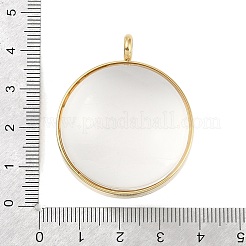 Ion Plating(IP) 304 Stainless Stee Locket Pendants&nbsp;STAS-S132-15G-01