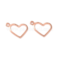 304 Stainless Steel Charms&nbsp;LS-STAS-P227-23RG
