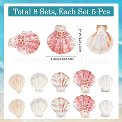 40Pcs Natural Scallop Shell Beads&nbsp;SSHEL-SP0001-02