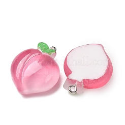 Fruit Theme Opaque Resin Imitation Food Pendants&nbsp;RE-CBA49A8-04E