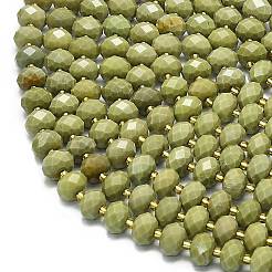 Natural Alashan Agate Beads Strands&nbsp;G-P573-A52-01