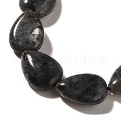 Natural Larvikite Beads Strands&nbsp;G-I377-A10
