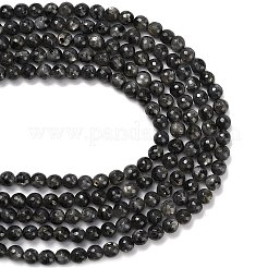 Natural Larvikite Beads Strands&nbsp;G-C280-B06-8mm