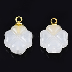 Glass Charms&nbsp;GLAA-N036-02B