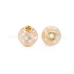 Natural White Shell Mother of Pearl Shell Beads&nbsp;SSHEL-T014-45A