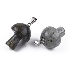 Natural Labradorite Pendants&nbsp;G-N0325-10O