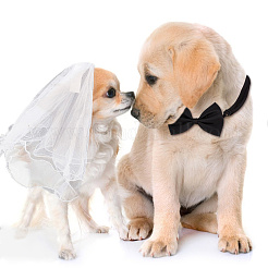 Adjustable Polyester Dog Collar & Wedding Bride Veil Sets&nbsp;AJEW-DR0001-74
