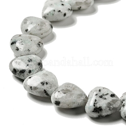 Natural Sesame Jasper/Kiwi Jasper Beads Strands&nbsp;G-B022-12C