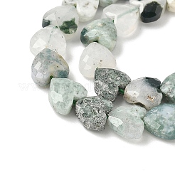 Natural Tree Agate Beads Strands&nbsp;G-D316-B07