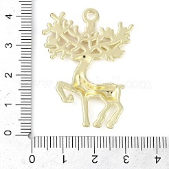 Alloy Pendants&nbsp;FIND-K018-02G