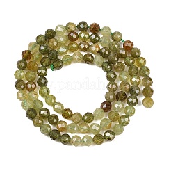 Natural Green Garnet Beads Strands&nbsp;G-B181-A01-4mm