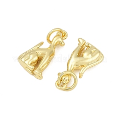 Brass Pendants&nbsp;KK-S527-39G