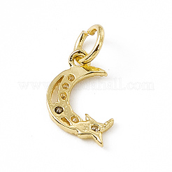 Brass Micro Pave Cubic Zirconia Charms&nbsp;ZIRC-F132-39G
