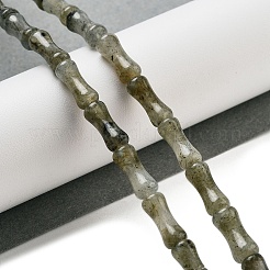 Natural Labradorite Beads Strands&nbsp;G-Q178-A09-01