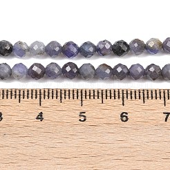 Natural Tanzanite Beads Strands&nbsp;G-C255-A01-4mm