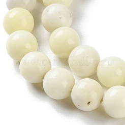 Natural Jade Beads Strands&nbsp;G-L609-A01-01