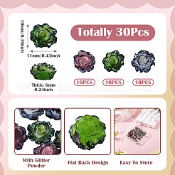 30Pcs 3 Colors Resin Rose Flower Cabochons&nbsp;CRES-TA0001-96