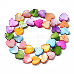 Natural Freshwater Shell Beads Strands&nbsp;SHEL-S278-024B