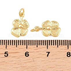 Brass Charms&nbsp;KK-F927-28G