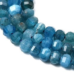 Natural Apatite Beads Strands&nbsp;G-K376-I09-3x4mm