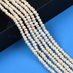 Natural Cultured Freshwater Pearl Beads Strands&nbsp;PEAR-N013-03B