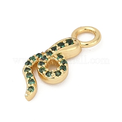 Brass Micro Pave Cubic Zirconia Pendants&nbsp;KK-G526-12G-02