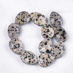 Natural Dalmatian Jasper Beads Strands&nbsp;G-S354-05
