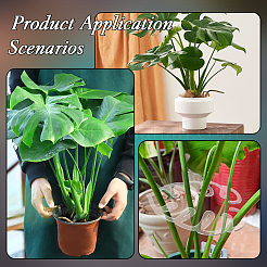 Acrylic Plant Supports&nbsp;FIND-WH0172-86A