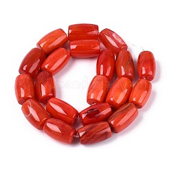 Dyed Natural Agate Beads Strands&nbsp;G-T144-34