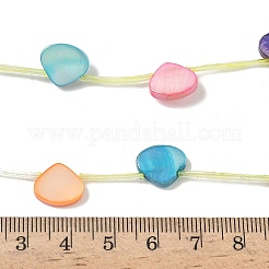 Natural Freshwater Shell Beads Strands&nbsp;SHEL-K006-52A