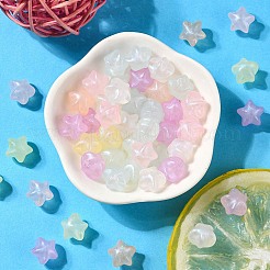 Rainbow Iridescent Plating Acrylic Beads&nbsp;CACR-YW0001-07