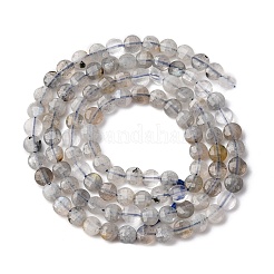 Natural Labradorite Beads Strands&nbsp;G-RM2025-A28