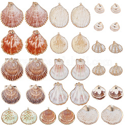 32Pcs 8 Styles Electroplated Natural Mixed Shell Pendants&nbsp;SSHEL-SC0001-62C