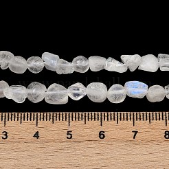 Natural Rainbow Moonstone Beads Strands&nbsp;G-Q060-D12