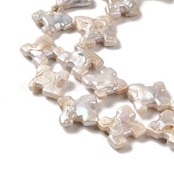 Natural Baroque Pearl Keshi Pearl Beads Strands&nbsp;PEAR-E016-005
