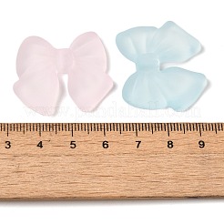 Frosted Acrylic Beads&nbsp;OACR-G036-09